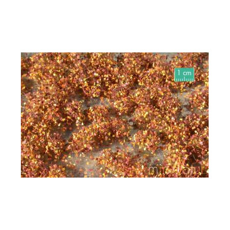 MiniNatur 725-24 MS - Weed tufts, late fall