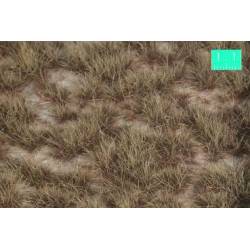 MiniNatur 737-28 MS - Dessertbüschel