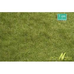 MiniNatur 713-23 MS - Pâturage du bétail au début de l'automne