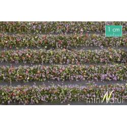 MiniNatur 731-29 S - Blühstreifen