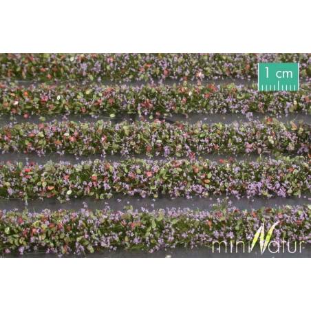 MiniNatur 731-29 S - Bandes de fleurs