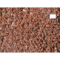 MiniNatur 920-24 S - Buchenlaub, Spätherbst