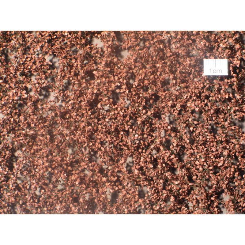 MiniNatur 920-24 S - Beech foliage, late autumn