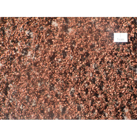 MiniNatur 920-24 S - Beech foliage, late autumn