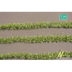 MiniNatur 766-25 S - Kartoffelstreifen, hellviolett blühend, Frühling