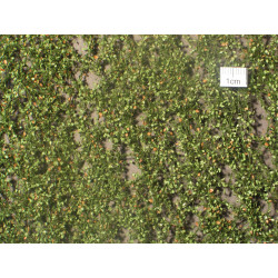 MiniNatur 920-23 S - Buchenlaub, Frühherbst