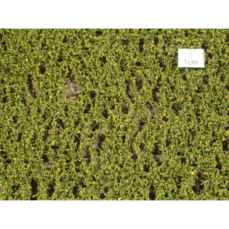 MiniNatur 920-23 S -Feuillage de bouleau, début d'automne