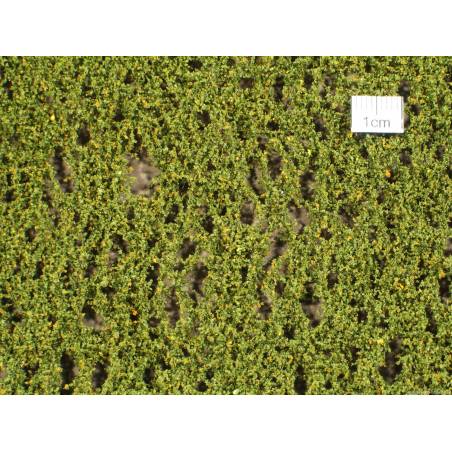 MiniNatur 920-23 S -Feuillage de bouleau, début d'automne