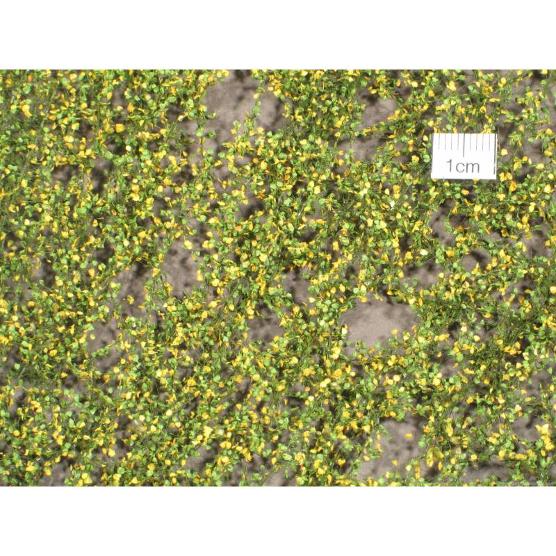 MiniNatur 913-13 S - Laub der Pyramidenpappel, Frühherbst