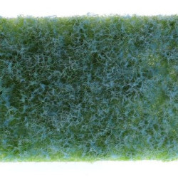MiniNatur 791-23 S - Couvre-sol, bleu clair - printemps