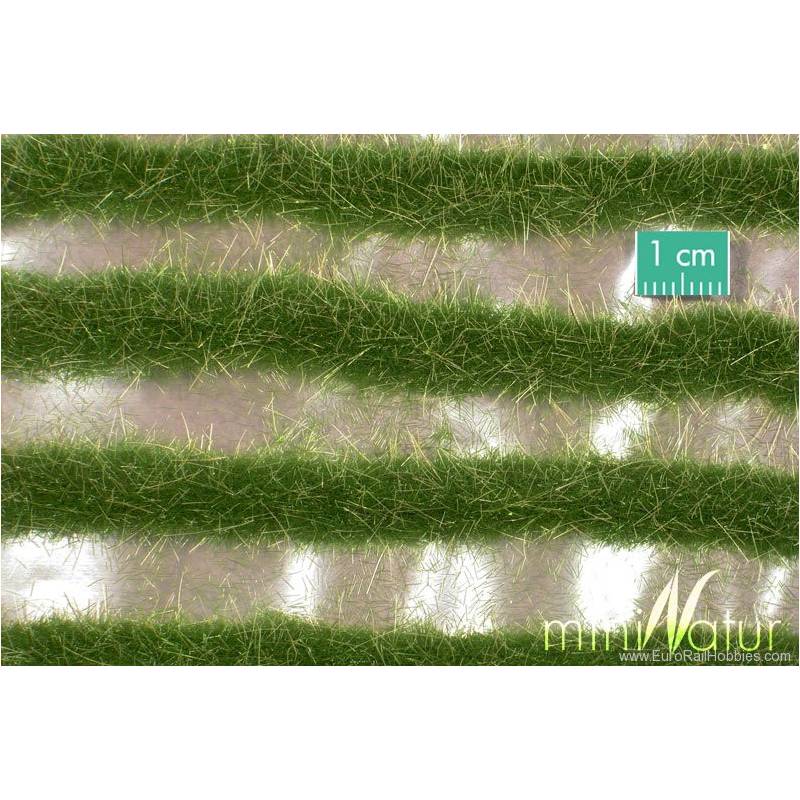MiniNatur738-22 S - Bandes d'herbe bicolores, été