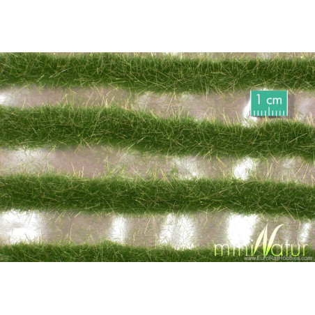MiniNatur 738-22 S - Zweifarbige Grasstreifen, Sommer