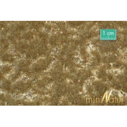 copy of MiniNatur910-36 S - Spätherbst-Birkenblätter