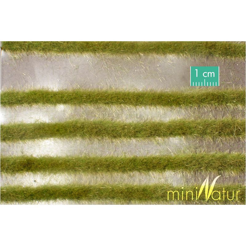 MiniNatur 738-21 S -Bande karstique - Printemps