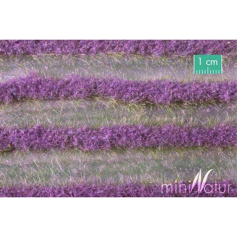 MiniNatur 731-24 S - Lavender field strips