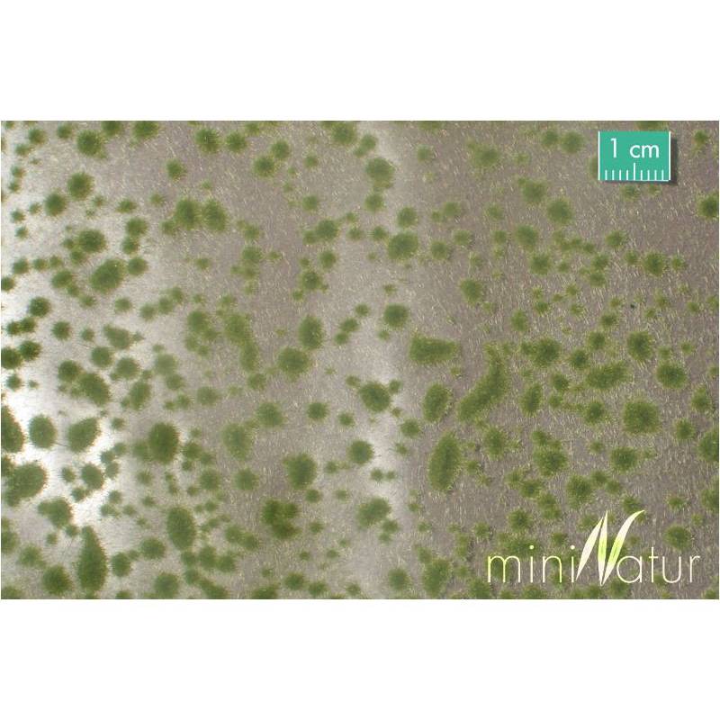 MiniNatur 747-23 S - Moospolster - Frühherbst