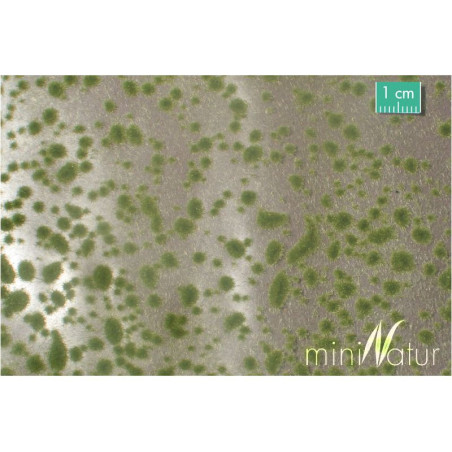 MiniNatur 747-23 S - Moospolster - Frühherbst