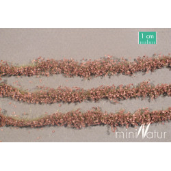 MiniNatur 766-24S - Landwirtschaftliche Streifen mit Blättern im Spätherbst