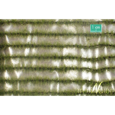 copy of MiniNatur 766-24S -Agricultural strips Frühherbst