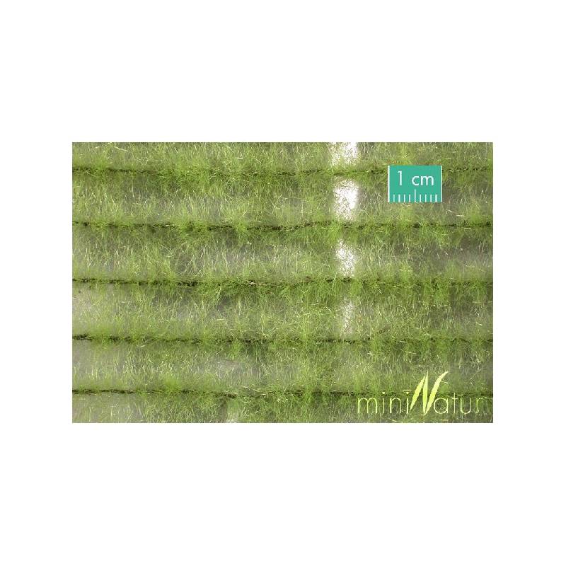 MiniNatur 765-21 S - Frühjahrs-Agrarstreifen