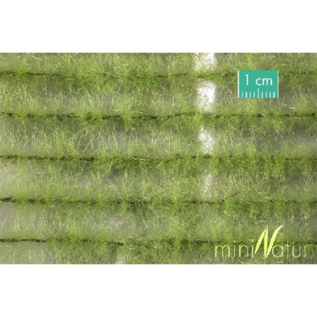 MiniNatur 765-21 S - Frühjahrs-Agrarstreifen