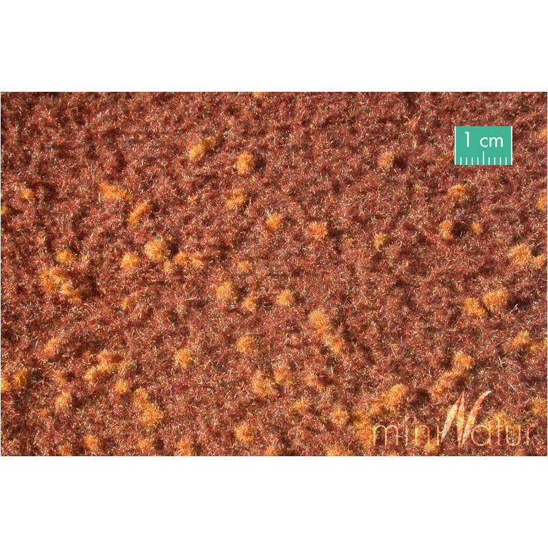 MiniNatur740-21 S - Waldboden Frühling