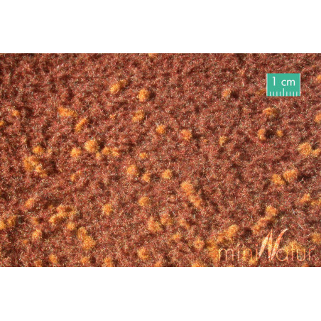 MiniNatur740-21 MS - Printemps du sol forestier