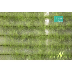 MiniNatur 765-22 S - Sommer-Agrarstreifen