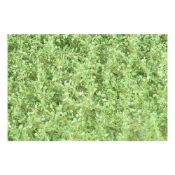 MiniNatur 913-12 S - Laubbaummatte, Linden-/Lindenfarbe