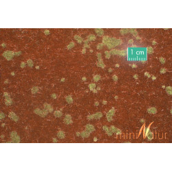 MiniNatur 740-23 S - Waldbodendecker, Frühherbst