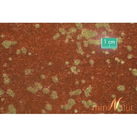 MiniNatur 740-23 S - Forest ground cover, early autumn
