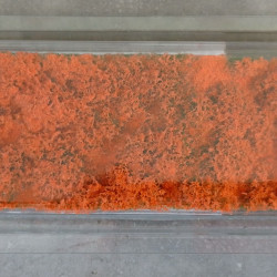 MiniNatur 791-26 S - Oranger Blumenteppich