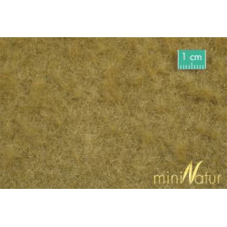 MiniNatur713-24 S - Weidende Rinder im Spätherbst