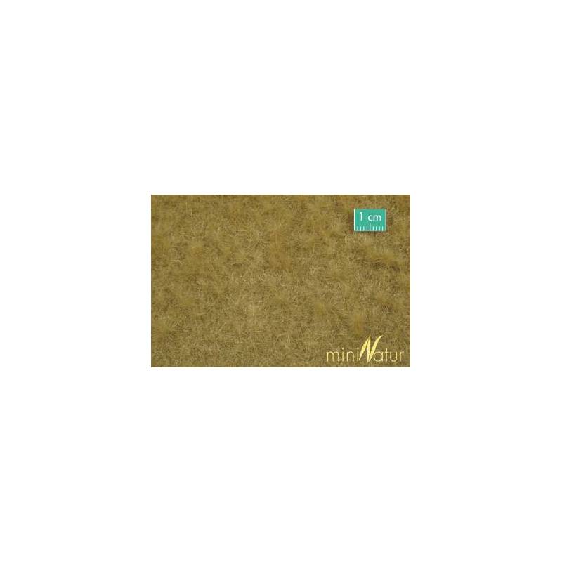 MiniNatur713-24 S - Weidende Rinder im Spätherbst