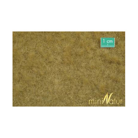 MiniNatur713-24 S - Weidende Rinder im Spätherbst