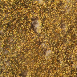 MiniNatur 910-14 S - Birkenblätter im Spätherbst