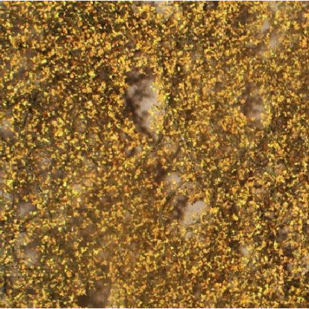 MiniNatur 910-14 S -  Feuilles de bouleau à la fin de l'automne
