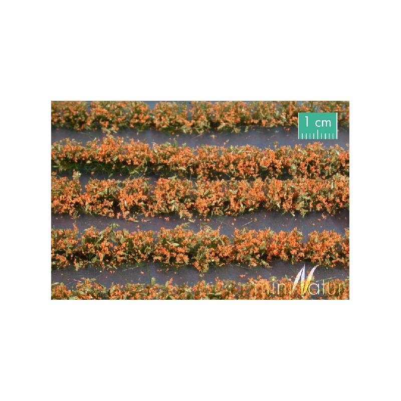 MiniNatur767-25S - Orange Blumenfelder