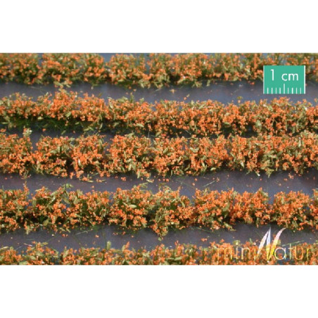 MiniNatur 767-25 S - Orange Flower Fields