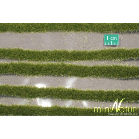 MiniNatur 766-26S -Champ de pommes de terre miniatures, floraison violette - printemps