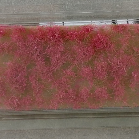 MiniNatur 791-24 S -  Plante tapissant rose