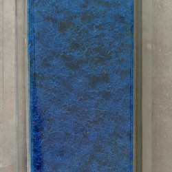 MiniNatur 791-29 S - Blaue Bodendeckerpflanze