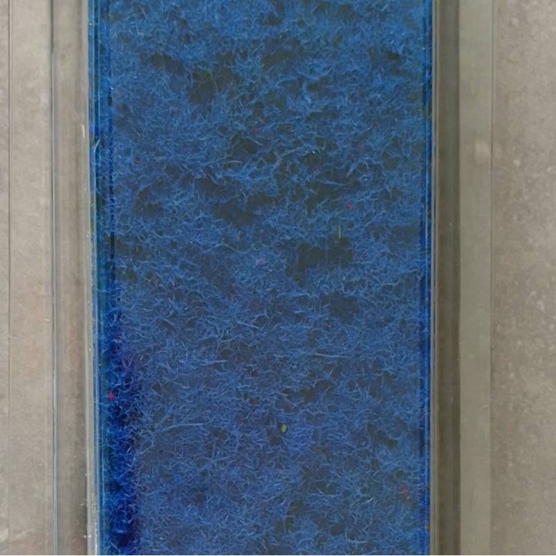 MiniNatur 791-29 S - Blaue Bodendeckerpflanze