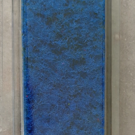 MiniNatur 791-29 S - Blaue Bodendeckerpflanze