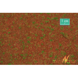 MiniNatur 740-22 S - Waldboden, Sommer