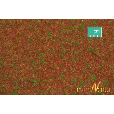 MiniNatur 740-22 S - Forest floor, summer