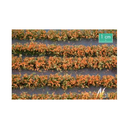 MiniNatur 767-25 S - Bandes de champs de fleurs orange
