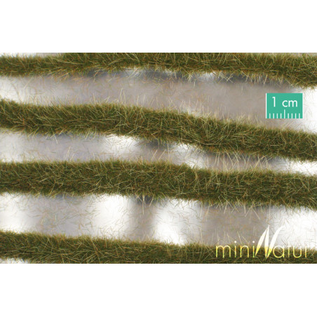 MiniNatur 738-23 S - Bandes herbées au début de l'automne