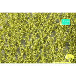 MiniNatur 940-21 - Trauerweidenlaub im Frühling