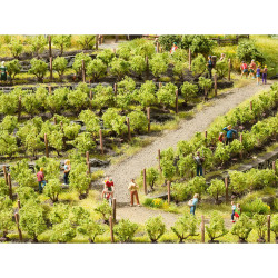 Noch 21540 - Vines